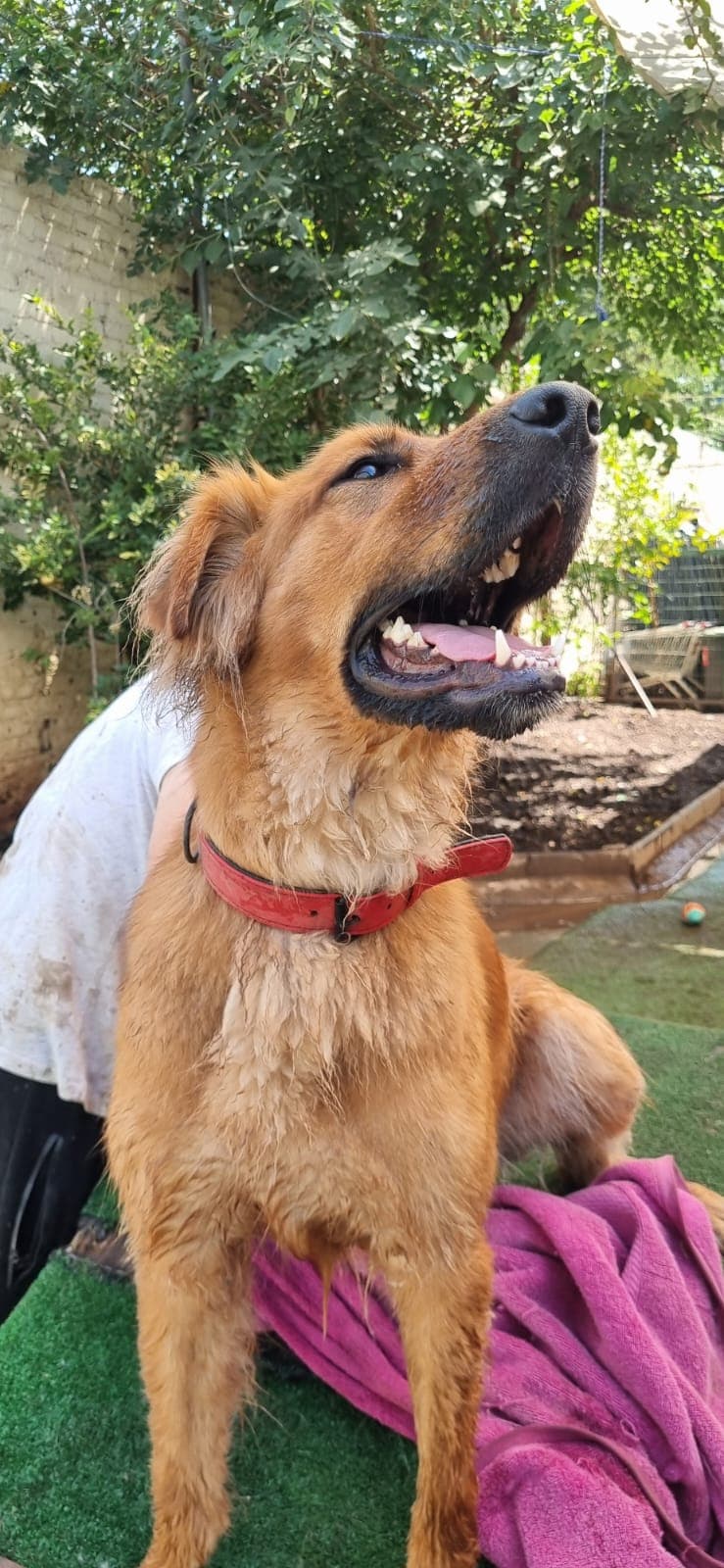 Foto de Kira